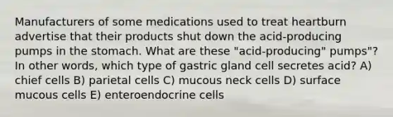 Manufacturers of some medications used to treat heartburn advertise that their products shut down the acid-producing pumps in <a href='https://www.questionai.com/knowledge/kLccSGjkt8-the-stomach' class='anchor-knowledge'>the stomach</a>. What are these "acid-producing" pumps"? In other words, which type of gastric gland cell secretes acid? A) chief cells B) parietal cells C) mucous neck cells D) surface mucous cells E) enteroendocrine cells