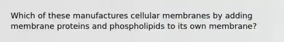 Which of these manufactures cellular membranes by adding membrane proteins and phospholipids to its own membrane?