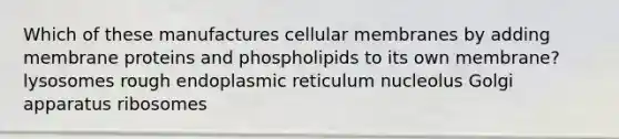 Which of these manufactures cellular membranes by adding membrane proteins and phospholipids to its own membrane? lysosomes rough endoplasmic reticulum nucleolus Golgi apparatus ribosomes