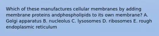 Which of these manufactures cellular membranes by adding membrane proteins andphospholipids to its own membrane? A. Golgi apparatus B. nucleolus C. lysosomes D. ribosomes E. rough endoplasmic reticulum