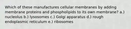 Which of these manufactures cellular membranes by adding membrane proteins and phospholipids to its own membrane? a.) nucleolus b.) lysosomes c.) Golgi apparatus d.) rough endoplasmic reticulum e.) ribosomes