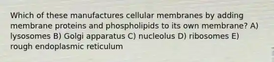 Which of these manufactures cellular membranes by adding membrane proteins and phospholipids to its own membrane? A) lysosomes B) Golgi apparatus C) nucleolus D) ribosomes E) rough endoplasmic reticulum