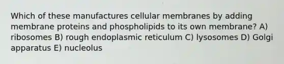 Which of these manufactures cellular membranes by adding membrane proteins and phospholipids to its own membrane? A) ribosomes B) rough endoplasmic reticulum C) lysosomes D) Golgi apparatus E) nucleolus