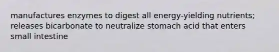 manufactures enzymes to digest all energy-yielding nutrients; releases bicarbonate to neutralize stomach acid that enters small intestine