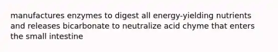 manufactures enzymes to digest all energy-yielding nutrients and releases bicarbonate to neutralize acid chyme that enters the small intestine