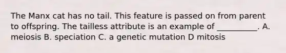 The Manx cat has no tail. This feature is passed on from parent to offspring. The tailless attribute is an example of __________. A. meiosis B. speciation C. a genetic mutation D mitosis