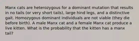 Manx cats are heterozygous for a dominant mutation that results in no tails (or very short tails), large hind legs, and a distinctive gait. Homozygous dominant individuals are not viable (they die before birth). A male Manx cat and a female Manx cat produce a live kitten. What is the probability that the kitten has a manx tail?