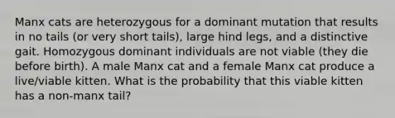 Manx cats are heterozygous for a dominant mutation that results in no tails (or very short tails), large hind legs, and a distinctive gait. Homozygous dominant individuals are not viable (they die before birth). A male Manx cat and a female Manx cat produce a live/viable kitten. What is the probability that this viable kitten has a non-manx tail?