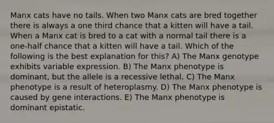 Manx cats have no tails. When two Manx cats are bred together there is always a one third chance that a kitten will have a tail. When a Manx cat is bred to a cat with a normal tail there is a one-half chance that a kitten will have a tail. Which of the following is the best explanation for this? A) The Manx genotype exhibits variable expression. B) The Manx phenotype is dominant, but the allele is a recessive lethal. C) The Manx phenotype is a result of heteroplasmy. D) The Manx phenotype is caused by gene interactions. E) The Manx phenotype is dominant epistatic.