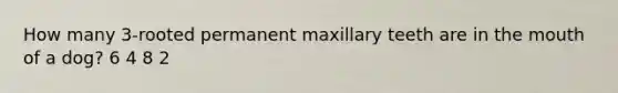 How many 3-rooted permanent maxillary teeth are in the mouth of a dog? 6 4 8 2