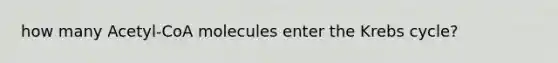 how many Acetyl-CoA molecules enter the Krebs cycle?