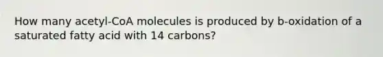 How many acetyl-CoA molecules is produced by b-oxidation of a saturated fatty acid with 14 carbons?