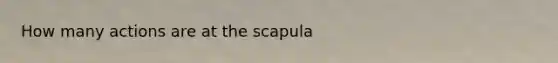 How many actions are at the scapula