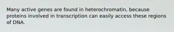 Many active genes are found in heterochromatin, because proteins involved in transcription can easily access these regions of DNA.