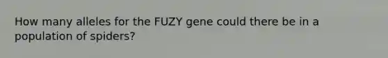 How many alleles for the FUZY gene could there be in a population of spiders?