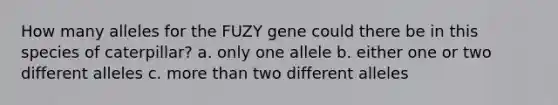 How many alleles for the FUZY gene could there be in this species of caterpillar? a. only one allele b. either one or two different alleles c. more than two different alleles