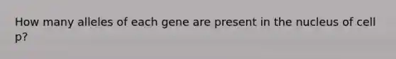 How many alleles of each gene are present in the nucleus of cell p?