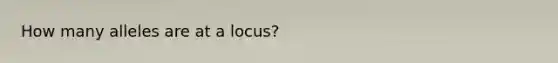 How many alleles are at a locus?