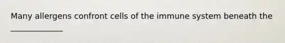 Many allergens confront cells of the immune system beneath the _____________