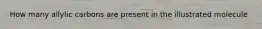 How many allylic carbons are present in the illustrated molecule