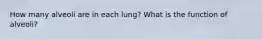 How many alveoli are in each lung? What is the function of alveoli?