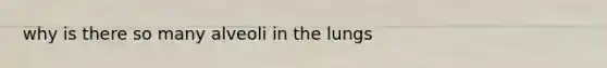 why is there so many alveoli in the lungs
