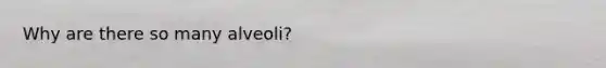 Why are there so many alveoli?