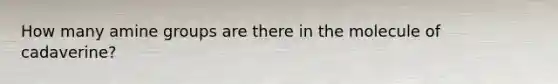How many amine groups are there in the molecule of cadaverine?