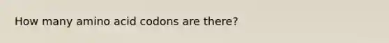 How many amino acid codons are there?