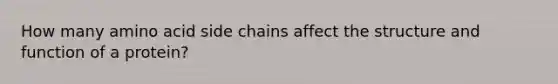 How many amino acid side chains affect the structure and function of a protein?