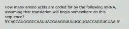 How many amino acids are coded for by the following mRNA, assuming that translation will begin somewhere on this sequence? 5'CACCAUGGGCCAAUUACGAAGGUUUUGCUGACCAGGUCUAA 3'