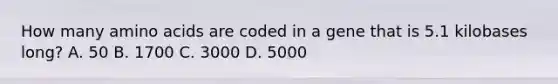 How many amino acids are coded in a gene that is 5.1 kilobases long? A. 50 B. 1700 C. 3000 D. 5000