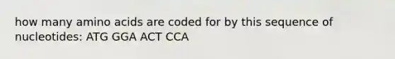 how many amino acids are coded for by this sequence of nucleotides: ATG GGA ACT CCA