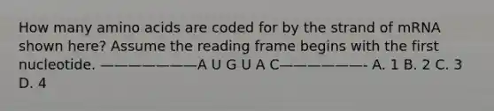 How many amino acids are coded for by the strand of mRNA shown here? Assume the reading frame begins with the first nucleotide. ———————A U G U A C——————- A. 1 B. 2 C. 3 D. 4