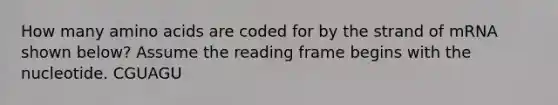 How many amino acids are coded for by the strand of mRNA shown below? Assume the reading frame begins with the nucleotide. CGUAGU