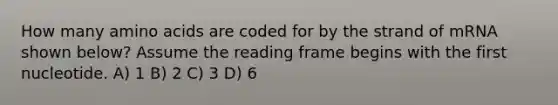 How many <a href='https://www.questionai.com/knowledge/k9gb720LCl-amino-acids' class='anchor-knowledge'>amino acids</a> are coded for by the strand of mRNA shown below? Assume the reading frame begins with the first nucleotide. A) 1 B) 2 C) 3 D) 6