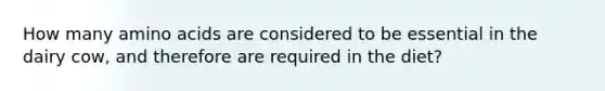 How many amino acids are considered to be essential in the dairy cow, and therefore are required in the diet?
