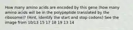 How many amino acids are encoded by this gene (how many amino acids will be in the polypeptide translated by the ribosome)? (Hint, identify the start and stop codons) See the image from 10/13 15 17 18 19 13 14