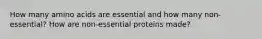 How many amino acids are essential and how many non-essential? How are non-essential proteins made?