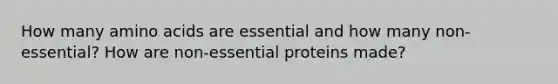 How many amino acids are essential and how many non-essential? How are non-essential proteins made?