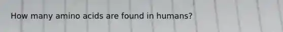 How many amino acids are found in humans?