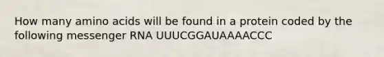 How many amino acids will be found in a protein coded by the following messenger RNA UUUCGGAUAAAACCC