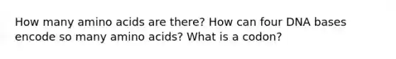 How many amino acids are there? How can four DNA bases encode so many amino acids? What is a codon?