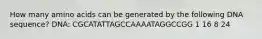 How many amino acids can be generated by the following DNA sequence? DNA: CGCATATTAGCCAAAATAGGCCGG 1 16 8 24