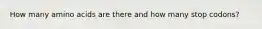 How many amino acids are there and how many stop codons?
