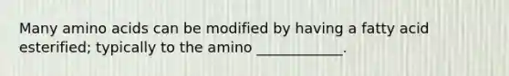 Many amino acids can be modified by having a fatty acid esterified; typically to the amino ____________.