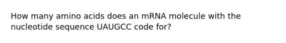 How many amino acids does an mRNA molecule with the nucleotide sequence UAUGCC code for?