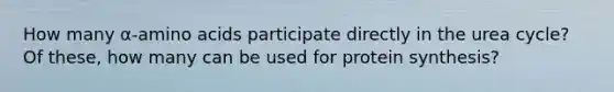 How many α-amino acids participate directly in the urea cycle? Of these, how many can be used for protein synthesis?