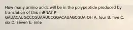 How many amino acids will be in the polypeptide produced by translation of this mRNA? P-GAUACAUGCCCGUAAUCCGGACAUAGCGUA-OH A. four B. five C. six D. seven E. nine