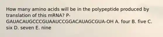 How many amino acids will be in the polypeptide produced by translation of this mRNA? P-GAUACAUGCCCGUAAUCCGGACAUAGCGUA-OH A. four B. five C. six D. seven E. nine